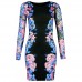 Chic Bodycon Long Sleeve Celebrity Inspired Dress