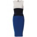 Colorblock Celebrity Inspired Bodycon Dress