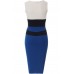 Colorblock Celebrity Inspired Bodycon Dress
