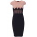 Celeb Two Toned Lace Trimed Midi Dress 