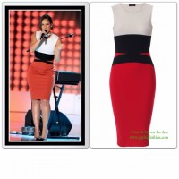 Colorblock Celebrity Inspired Bodycon Dress