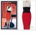 Colorblock Celebrity Inspired Bodycon Dress